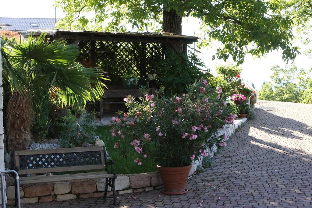 Cortalta Mountain Lodge ファーイ・デッラ・パガネッラ エクステリア 写真