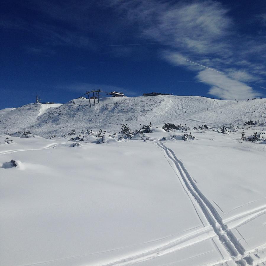 Cortalta Mountain Lodge ファーイ・デッラ・パガネッラ エクステリア 写真